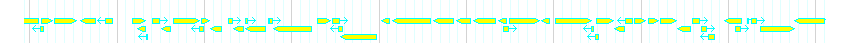 Genes detail