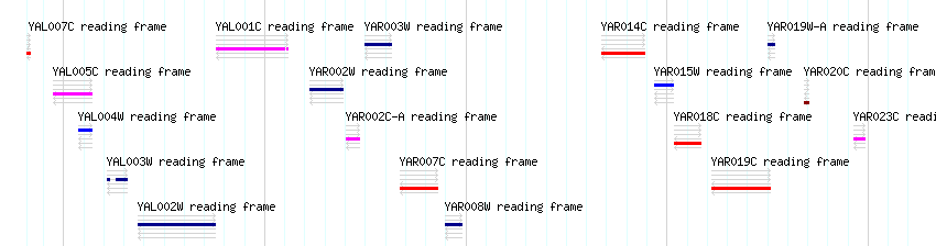 CDS detail