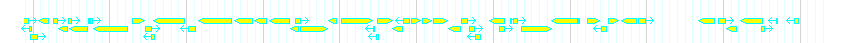 Genes detail
