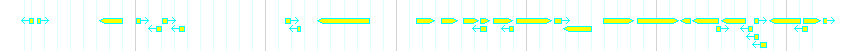 Genes detail