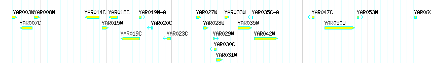 Genes detail