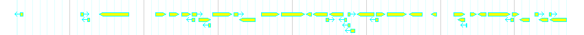 Genes detail