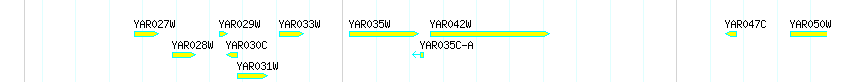 Genes detail