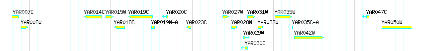 Genes detail