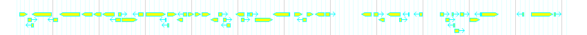 Genes detail