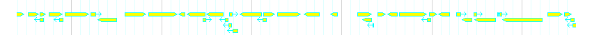 Genes detail