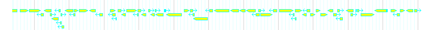 Genes detail