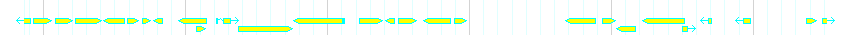 Genes detail