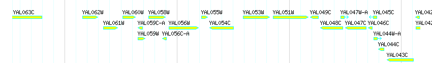 Genes detail