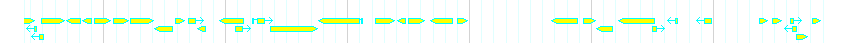 Genes detail