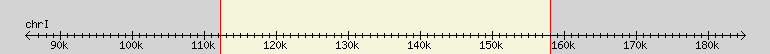 __scale__ region