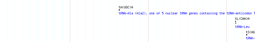 tRNAs detail