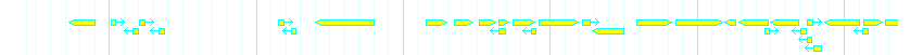 Genes detail