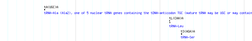 tRNAs detail