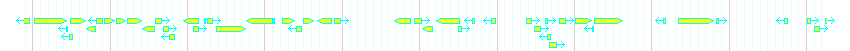 Genes detail