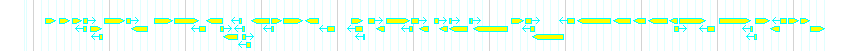 Genes detail