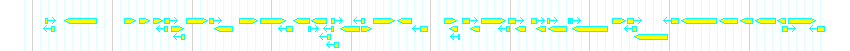 Genes detail