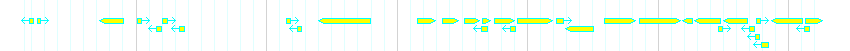 Genes detail