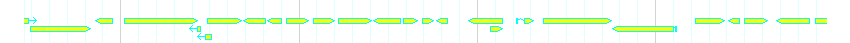 Genes detail