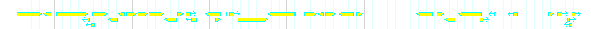 Genes detail