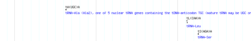 tRNAs detail