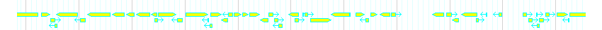 Genes detail