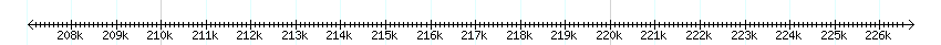 __scale__ detail