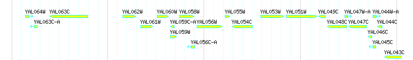 Genes detail