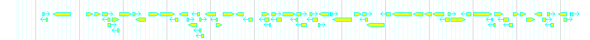 Genes detail
