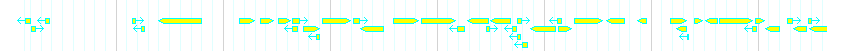 Genes detail