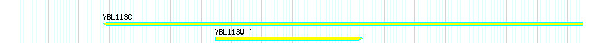 Genes detail