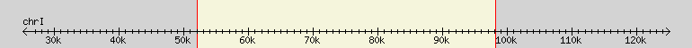 __scale__ region