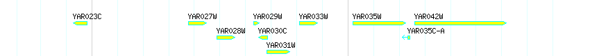 Genes detail