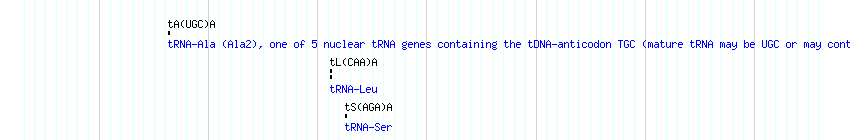 tRNAs detail