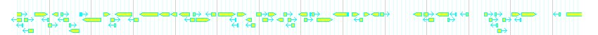 Genes detail