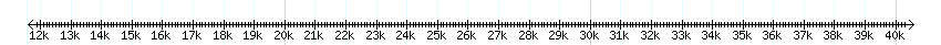 __scale__ detail