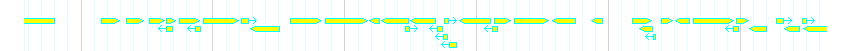 Genes detail