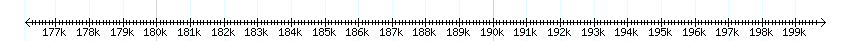 __scale__ detail