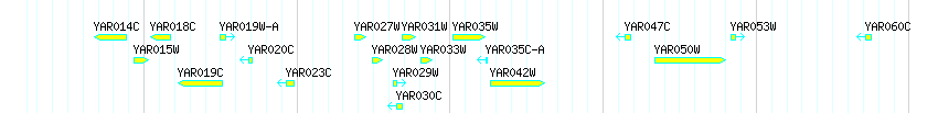 Genes detail