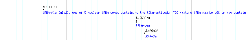 tRNAs detail