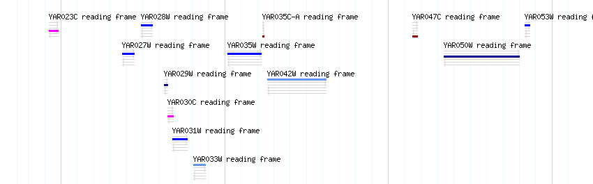 CDS detail