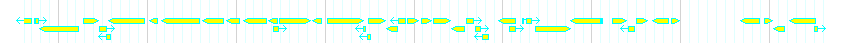 Genes detail