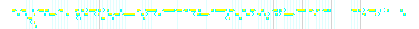 Genes detail