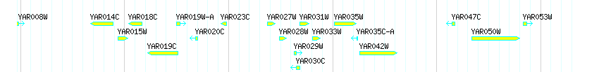 Genes detail