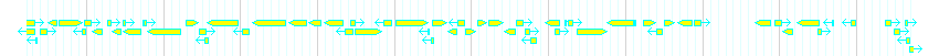 Genes detail
