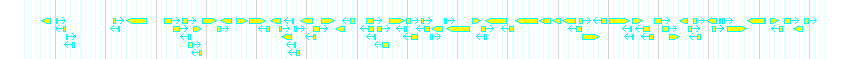 Genes detail
