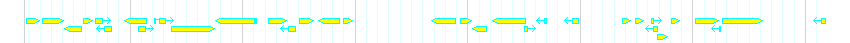 Genes detail