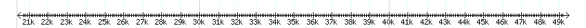 __scale__ detail