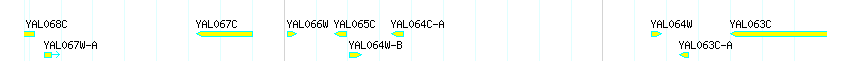 Genes detail