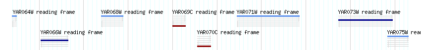 CDS detail